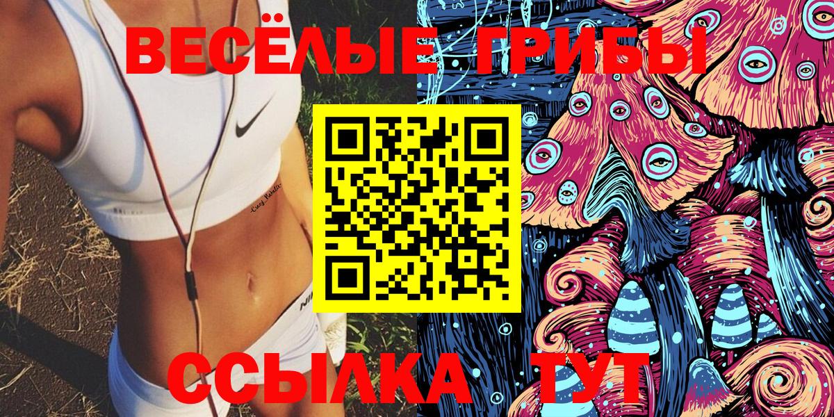 Псилоцибиновые грибы MAGIC MUSHROOMS  Вход с VPN  Ливны 
